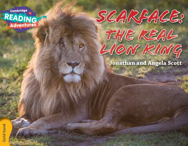 CAMBRIDGE READING ADVENTURES SCARFACE: THE REAL LION KING GOLD BAND
