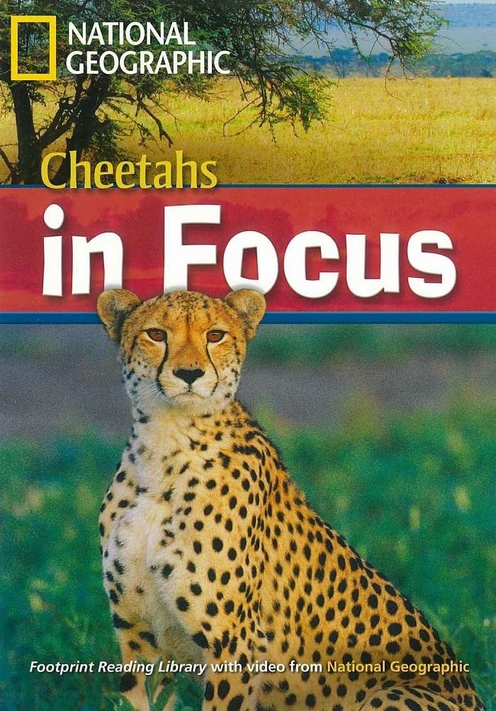 CHEETAHS IN FOCUS (UPPER-INTER) (A.E)