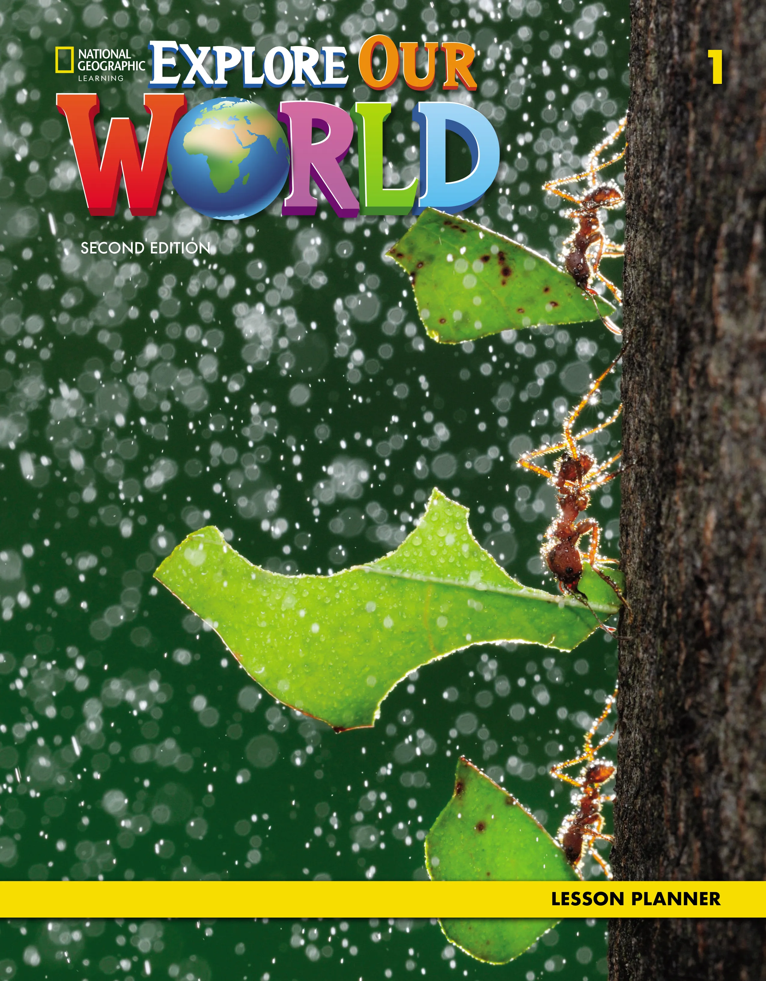 EXPLORE OUR WORLD 1 LESSON PLANNER+SBK AUDIO CD & DVD (US 2ND ED)