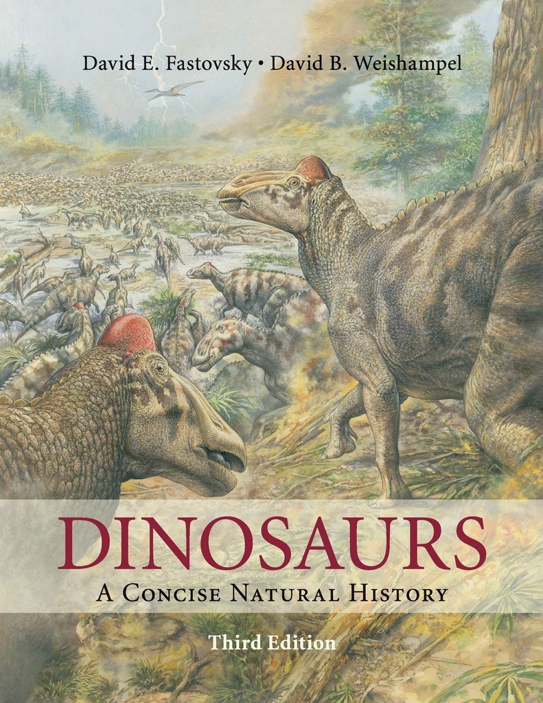 DINOSAURS: A CONCISE NATURAL HISTORY(3RD ED)
